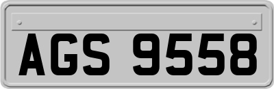 AGS9558