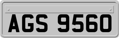 AGS9560