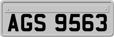 AGS9563