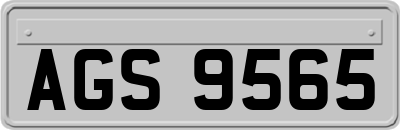 AGS9565
