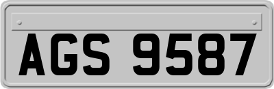 AGS9587