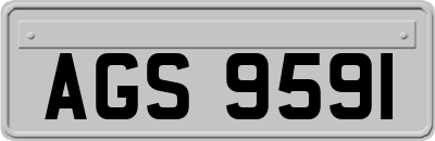 AGS9591