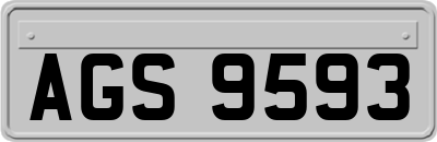 AGS9593