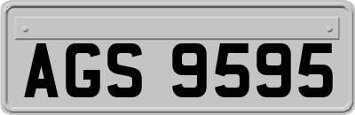 AGS9595