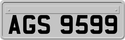 AGS9599