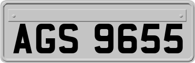 AGS9655