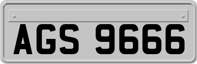 AGS9666