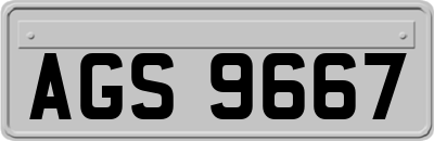 AGS9667