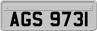 AGS9731