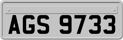 AGS9733