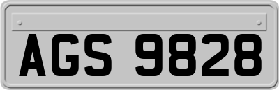 AGS9828