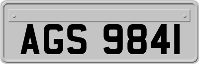 AGS9841