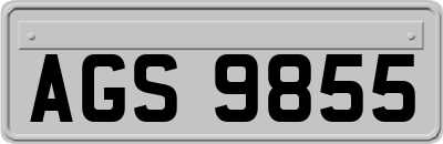 AGS9855