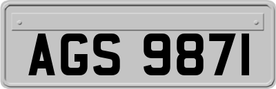 AGS9871