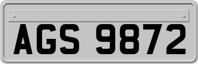AGS9872