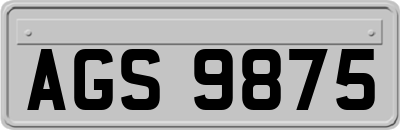 AGS9875