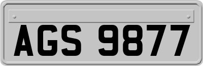 AGS9877