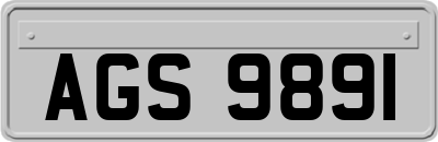AGS9891