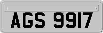 AGS9917