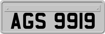 AGS9919