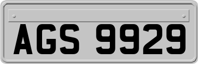 AGS9929