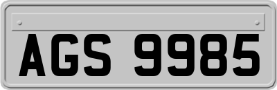 AGS9985