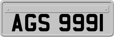 AGS9991