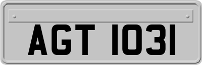 AGT1031