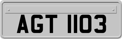 AGT1103