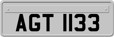 AGT1133