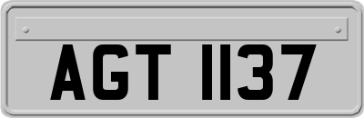 AGT1137