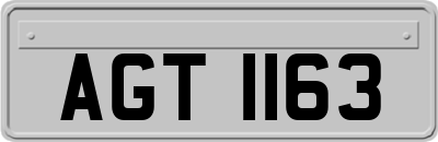 AGT1163