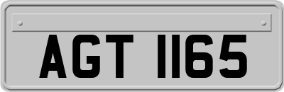 AGT1165