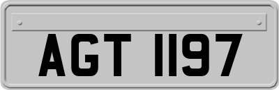 AGT1197