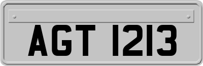 AGT1213