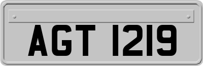 AGT1219