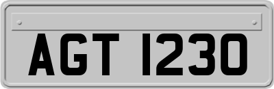 AGT1230