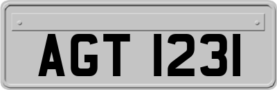 AGT1231