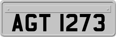 AGT1273