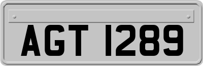 AGT1289