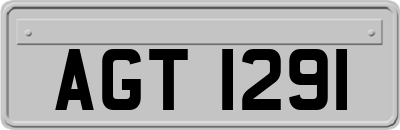 AGT1291