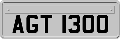 AGT1300