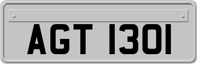 AGT1301