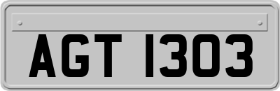 AGT1303