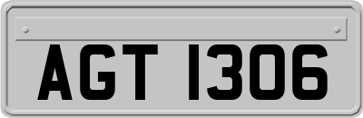 AGT1306