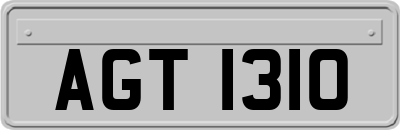 AGT1310