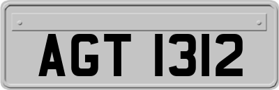 AGT1312