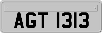 AGT1313