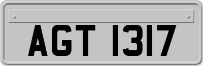 AGT1317