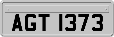 AGT1373